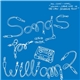 Ulrich Troyer - Songs For William 2